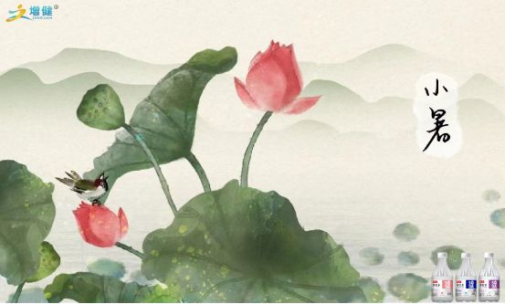 【河南增健饮品】倏忽温风至，因循小暑来。