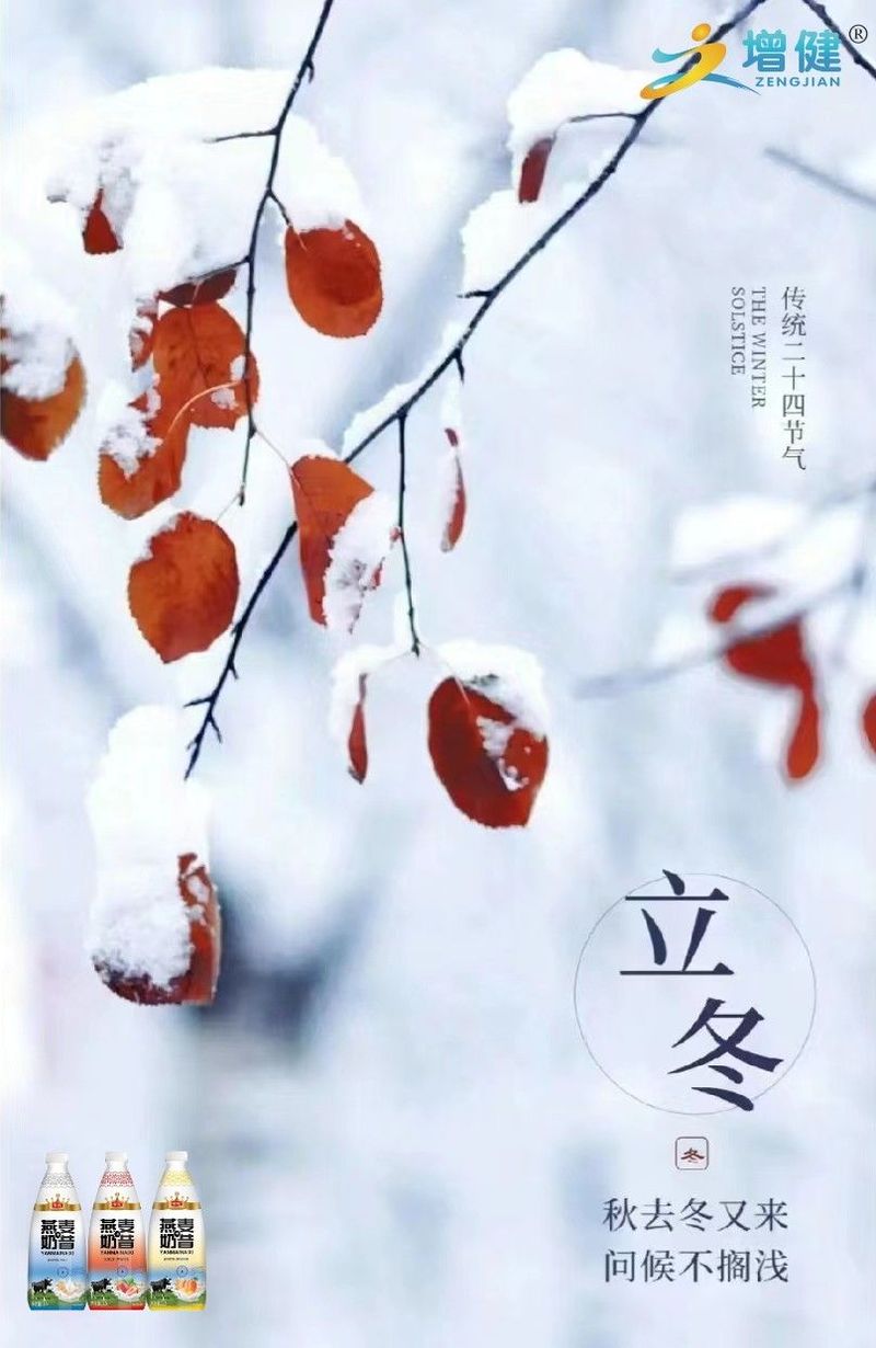 图片3